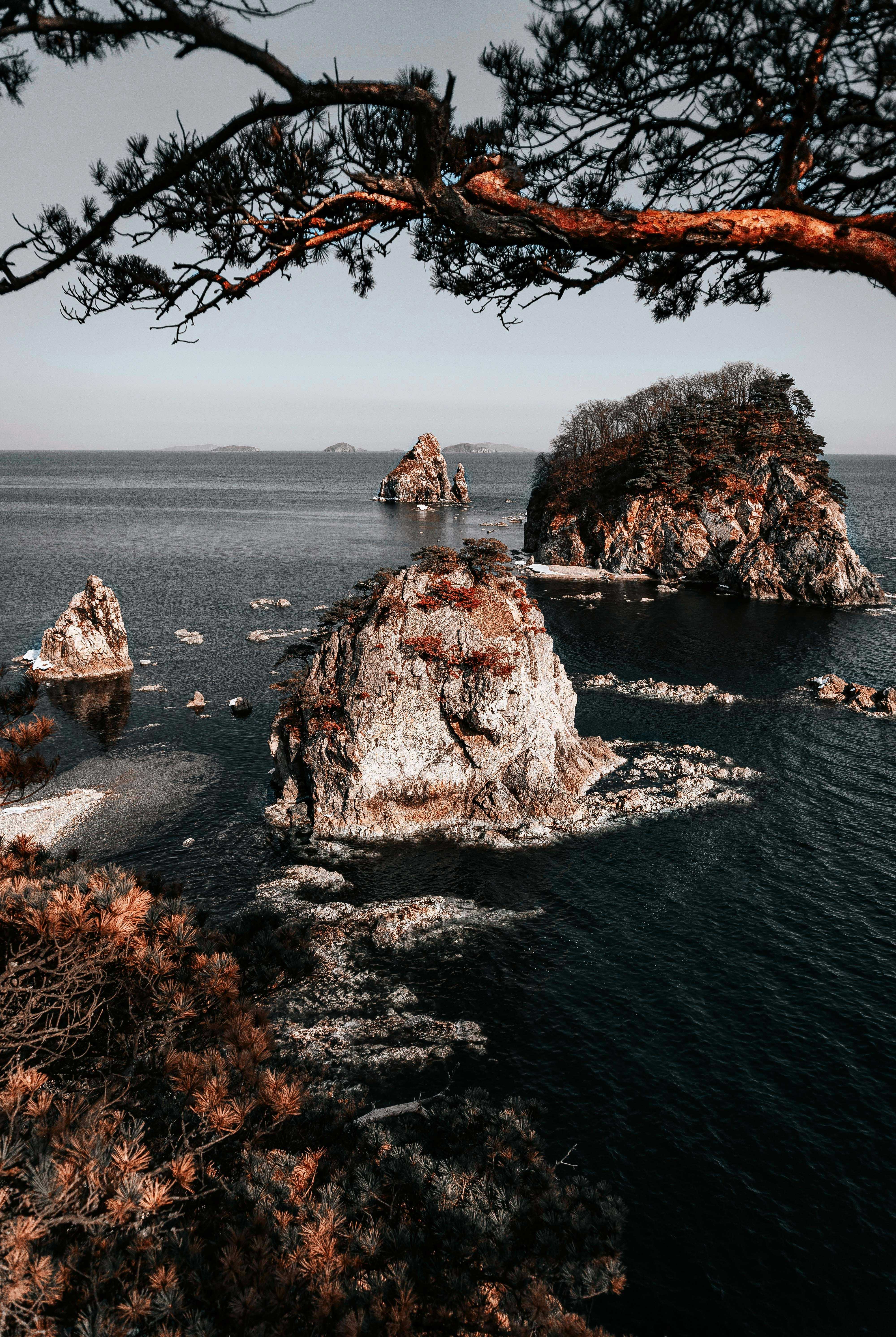a large body of water surrounded by trees