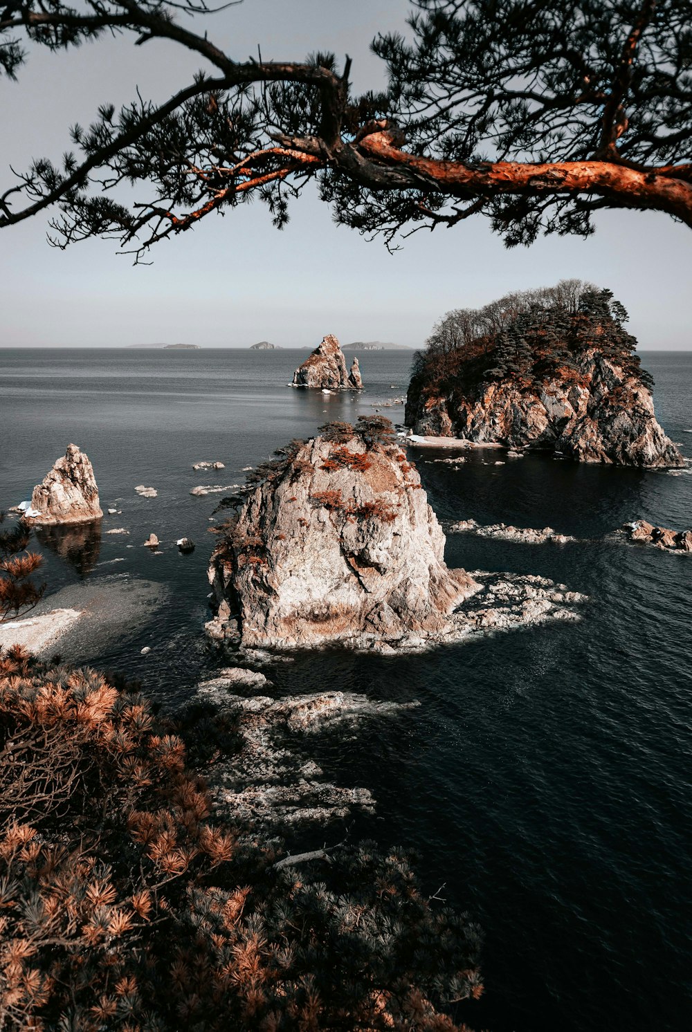 a large body of water surrounded by trees