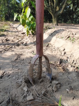 A gardening tool with a long handle is embedded in dry, dusty soil. The visible part of the tool has several prongs, indicating it's used for digging or cultivating. Surrounding the tool are scattered dried leaves and a small green plant to the left. In the background, there are some trees providing partial shade.