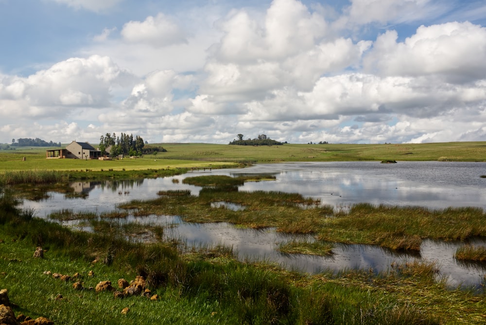 a large body of water sitting next to a lush green field