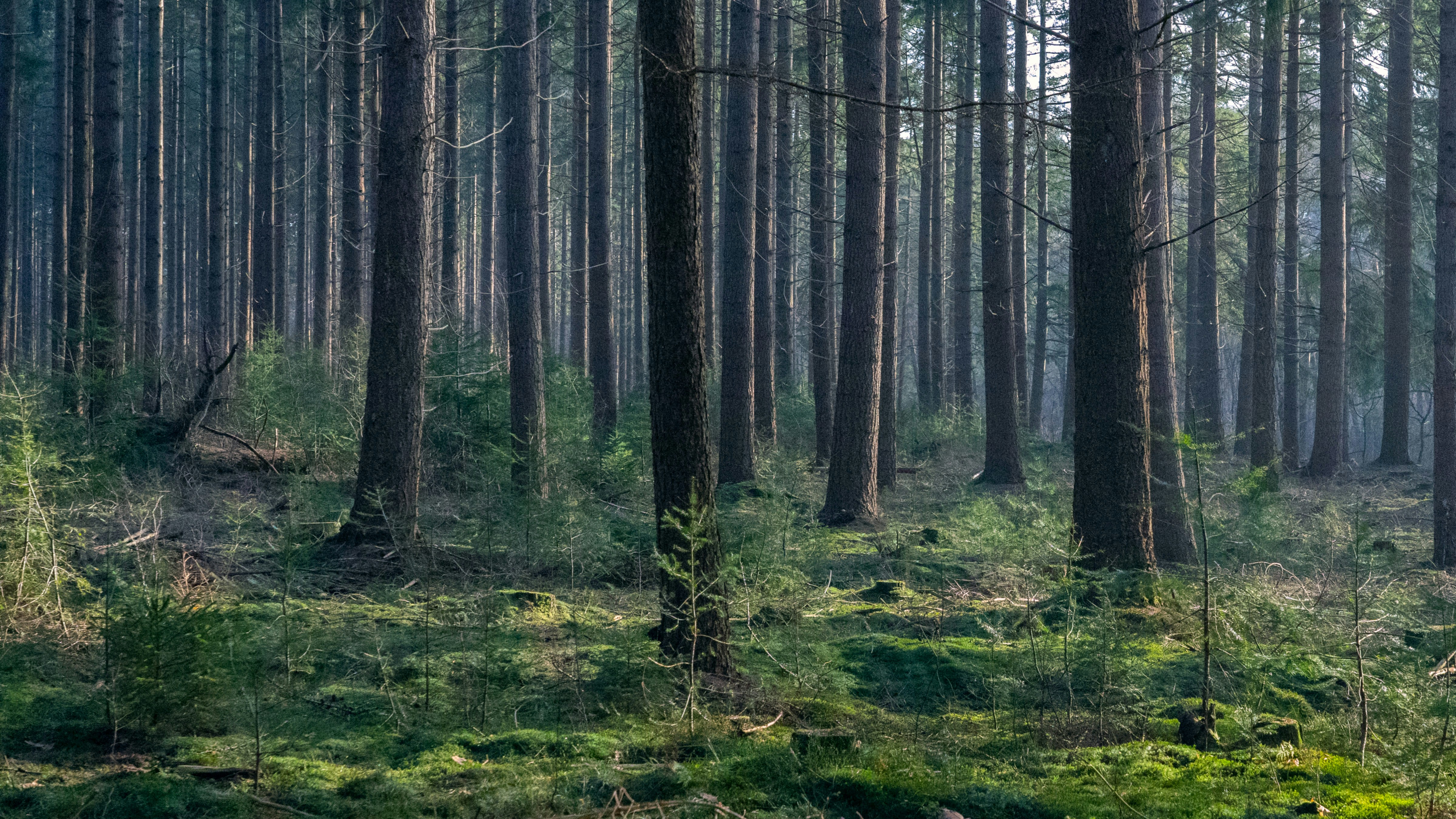 Photo by theo_aartsma