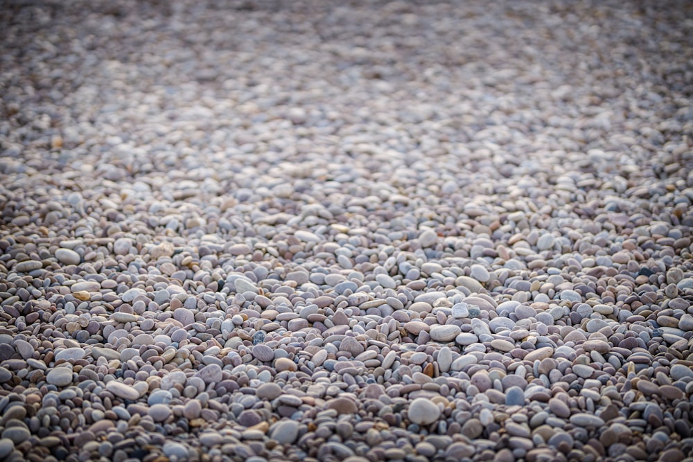 a bunch of rocks that are on the ground