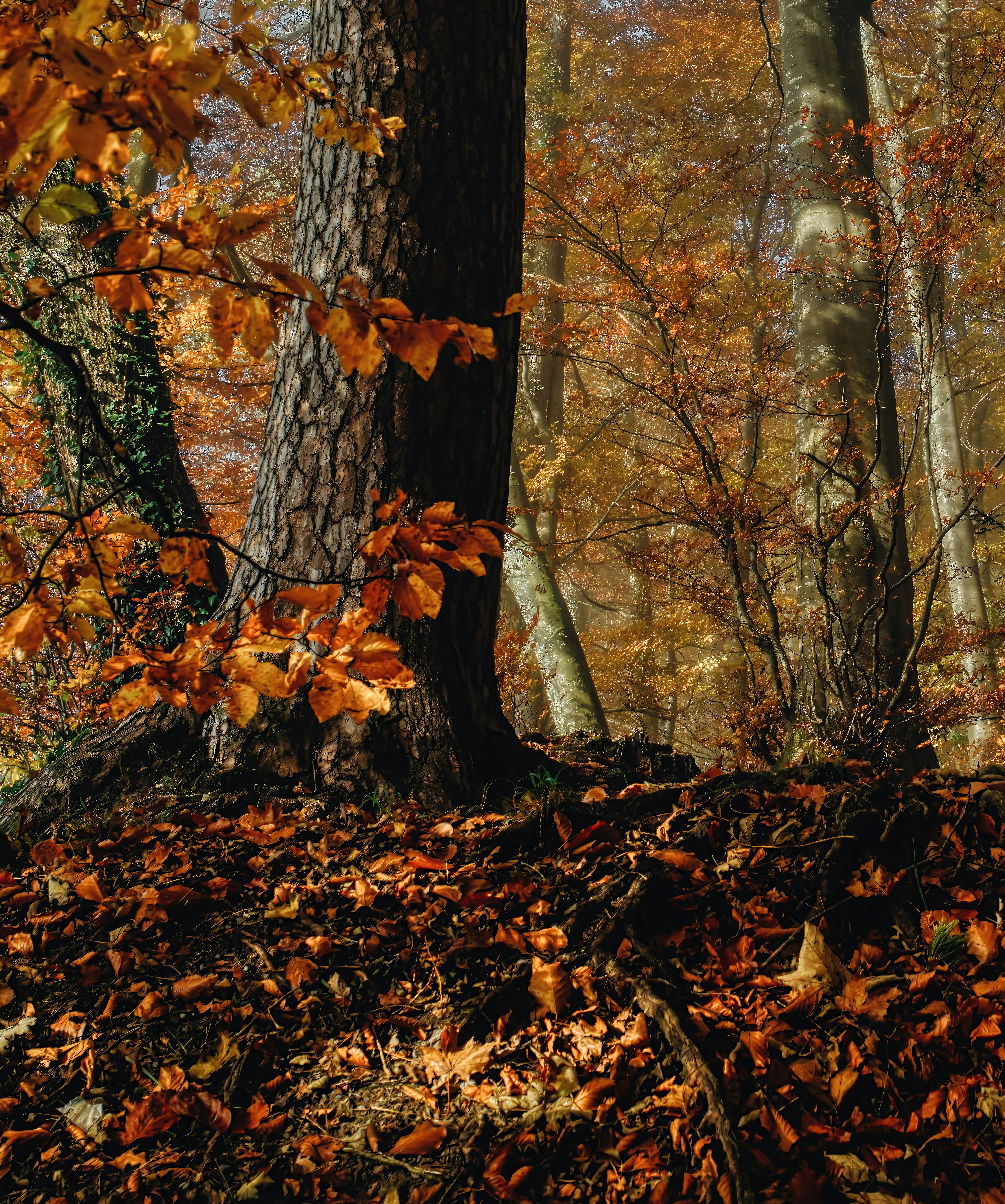 Photo by rgaleriacom