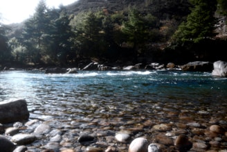 A calm river flowing over smooth stones under soft sunlight, symbolizing steady progress and clarity.