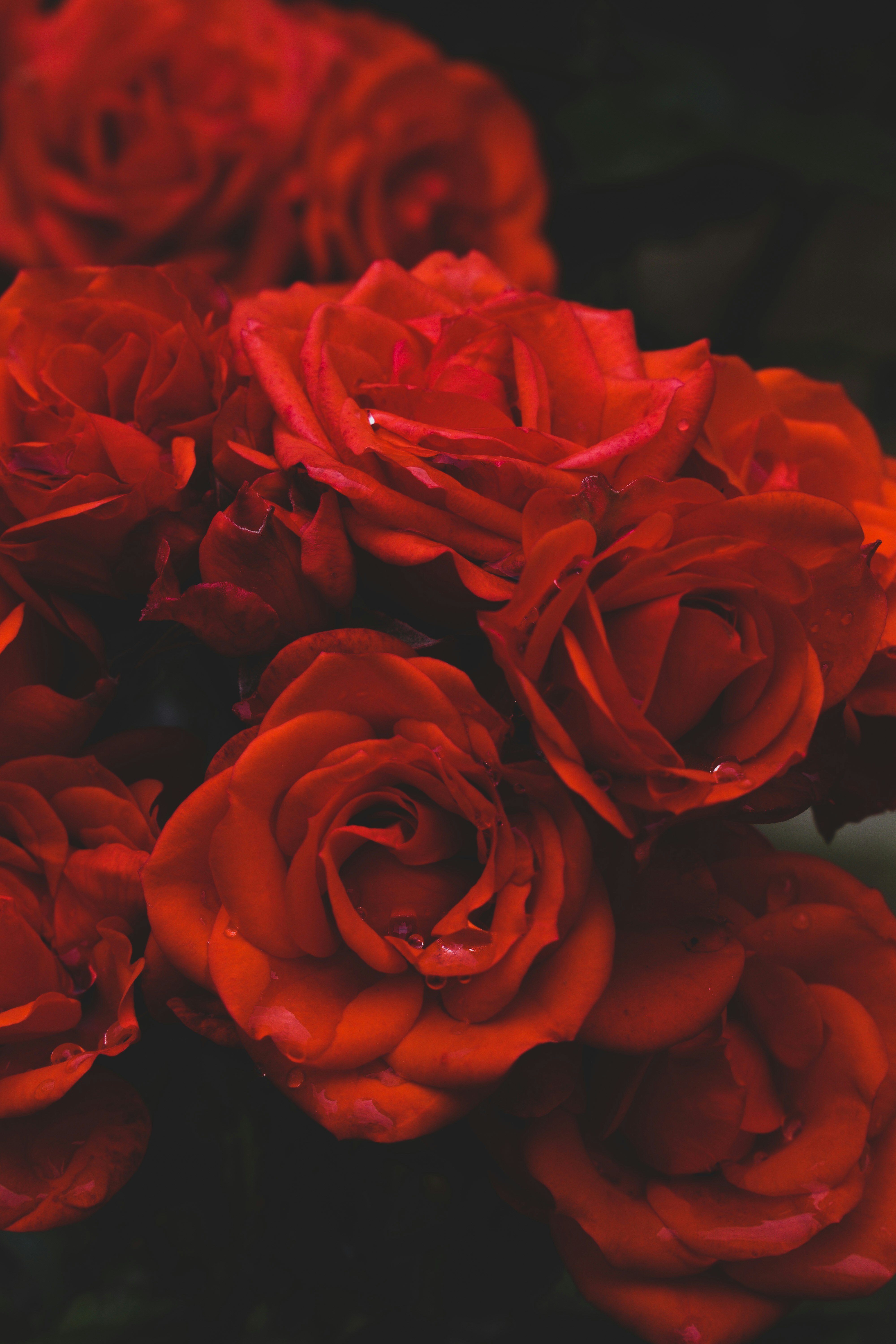 Photo by dtodorovaph