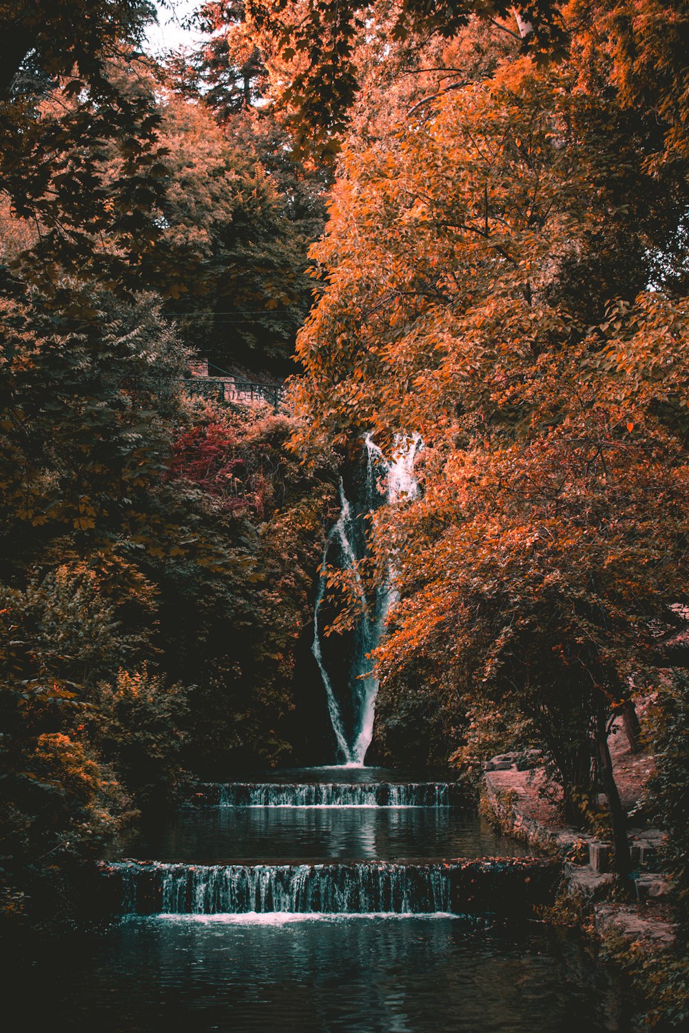 a waterfall in the middle of a forest