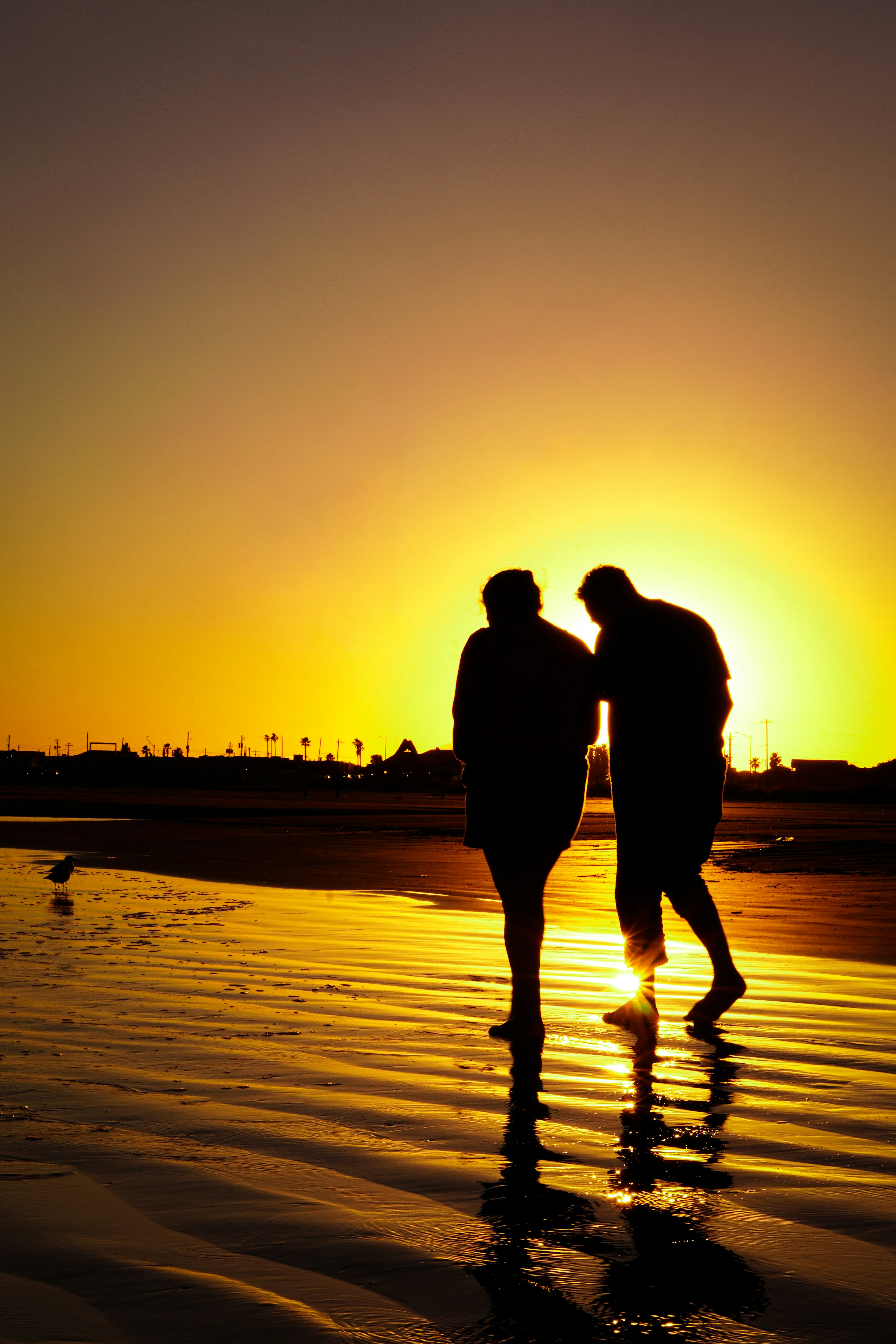 Photo by thinhdopham