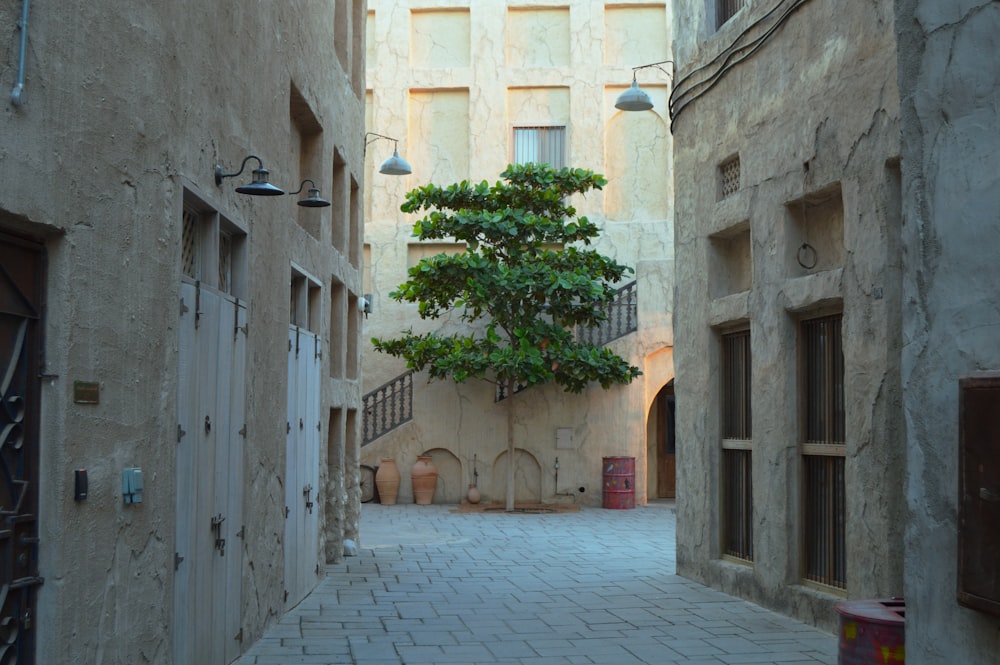 a narrow alley way with a tree in the middle