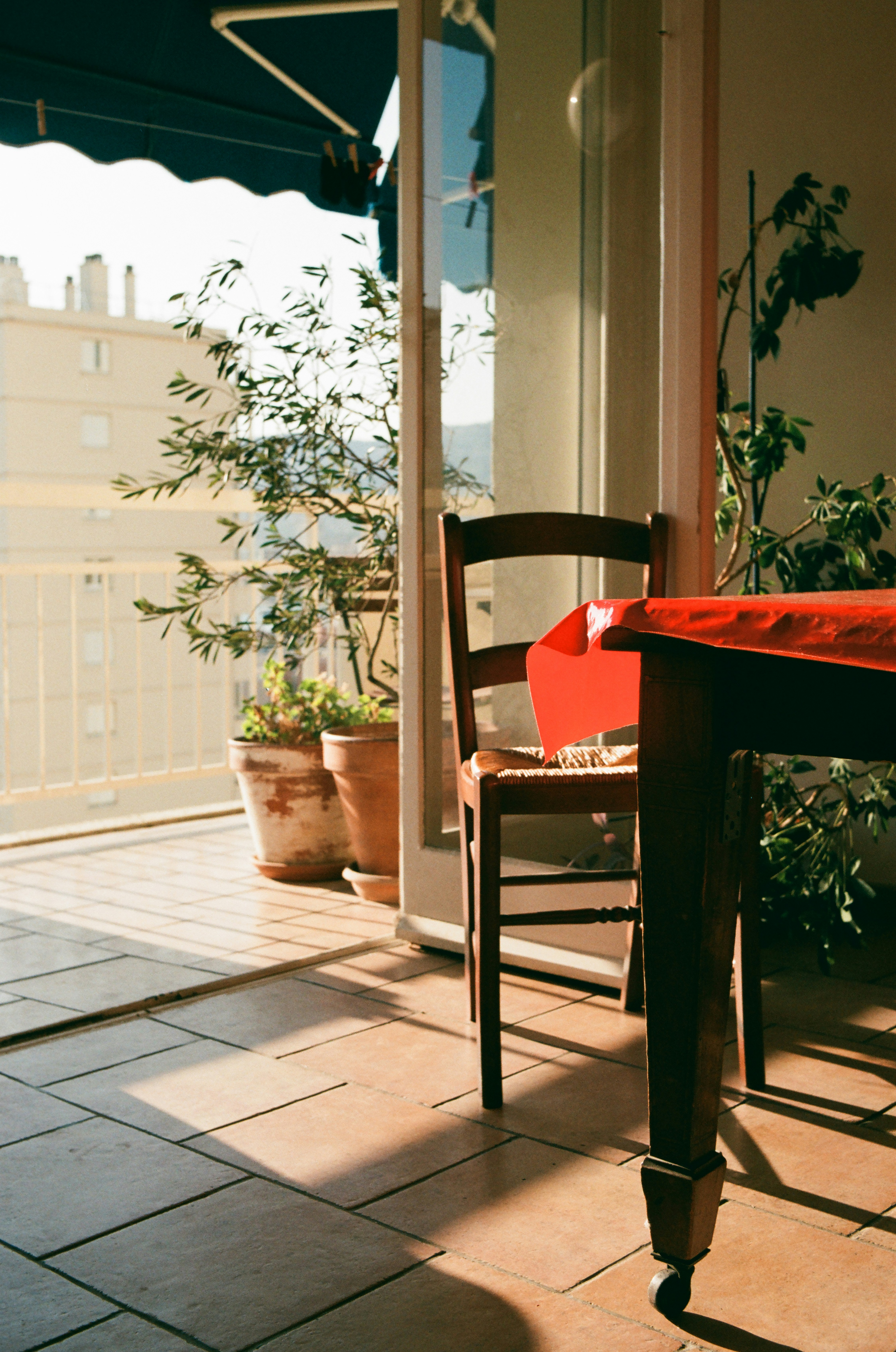 a patio with a table and chairs and a potted plant