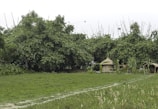 Wide shot of a bamboo pavilion nestled in a lush European meadow.