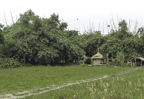 Wide shot of a bamboo pavilion nestled in a lush European meadow.