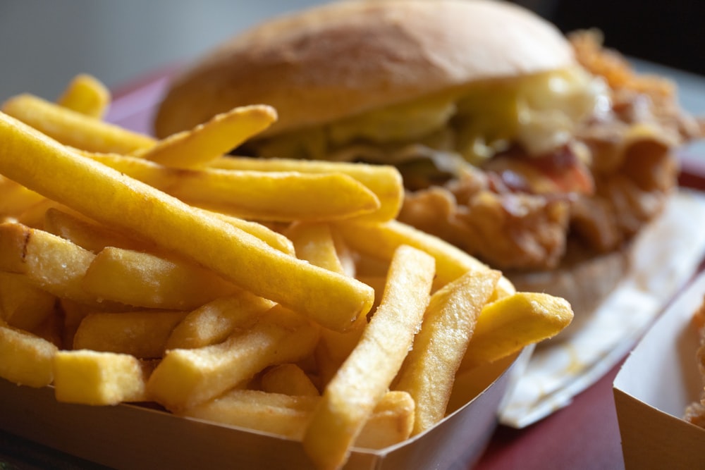 a close up of a plate of french fries and a sandwich