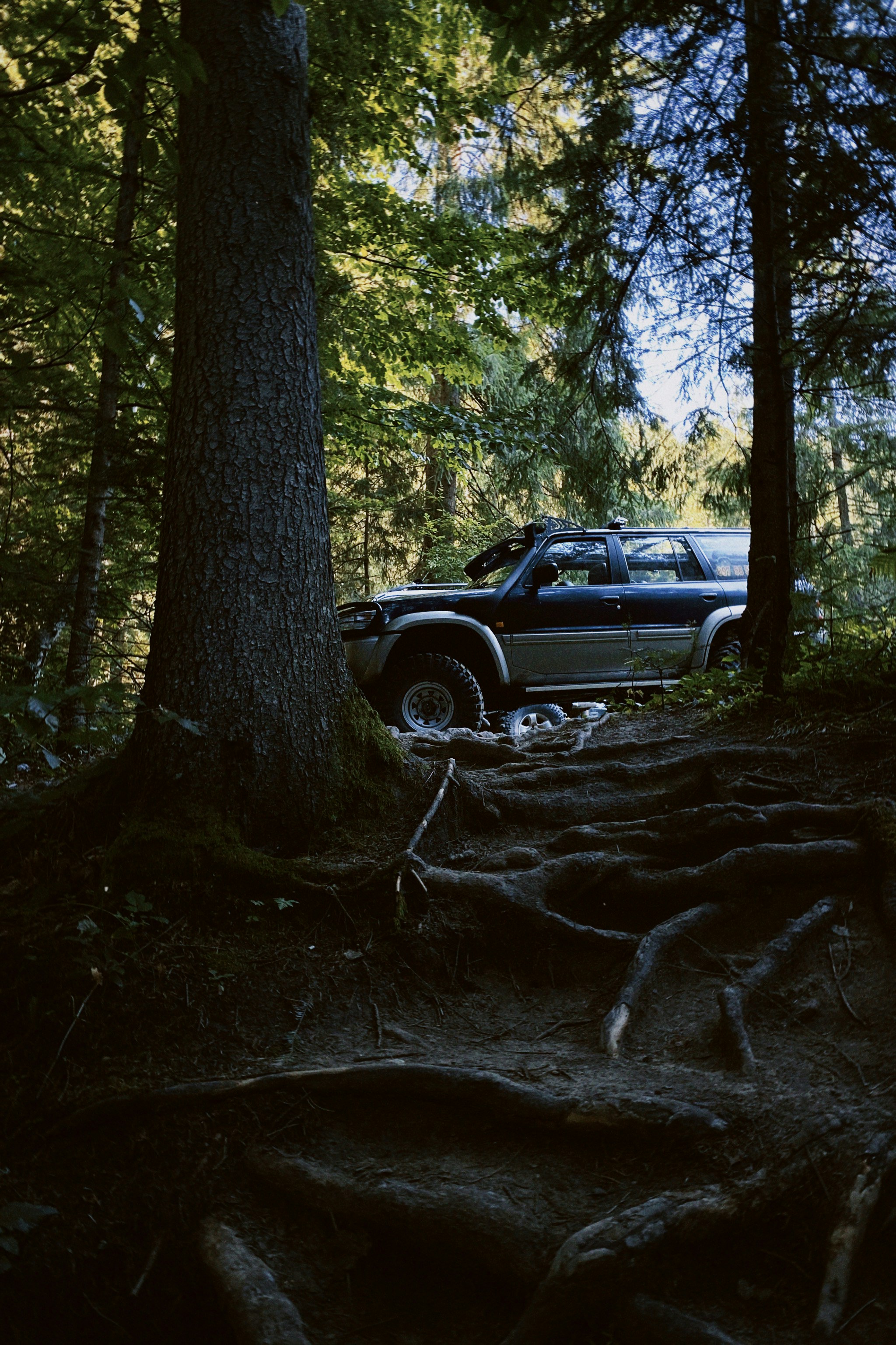 Photo by ksusha_kazak