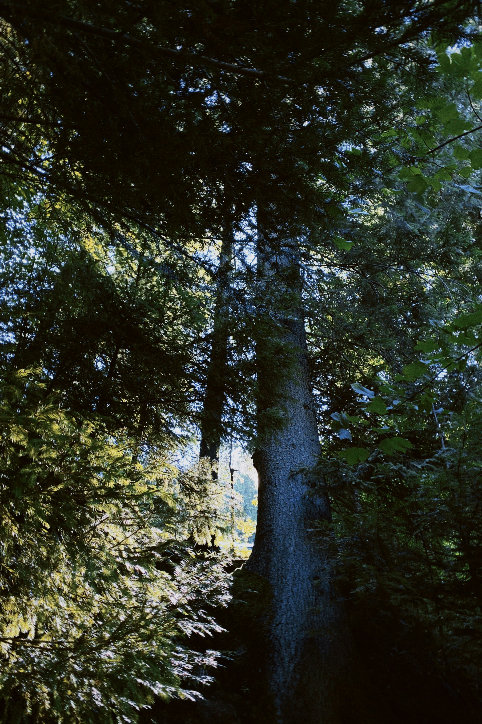 Photo by ksusha_kazak