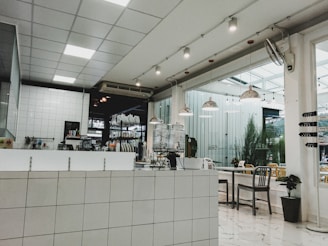 Open kitchen with sleek lines, terracotta walls, and green plants enhancing the modern minimalist style.