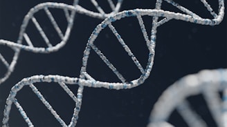 genes vitamina D