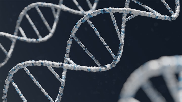 The Ethical Issues of Genetic Engineering