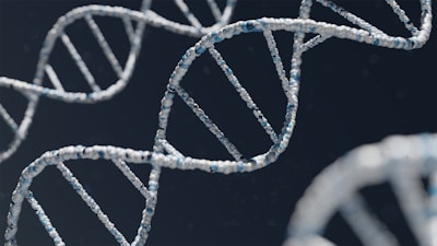 Transcriptomique - ARN