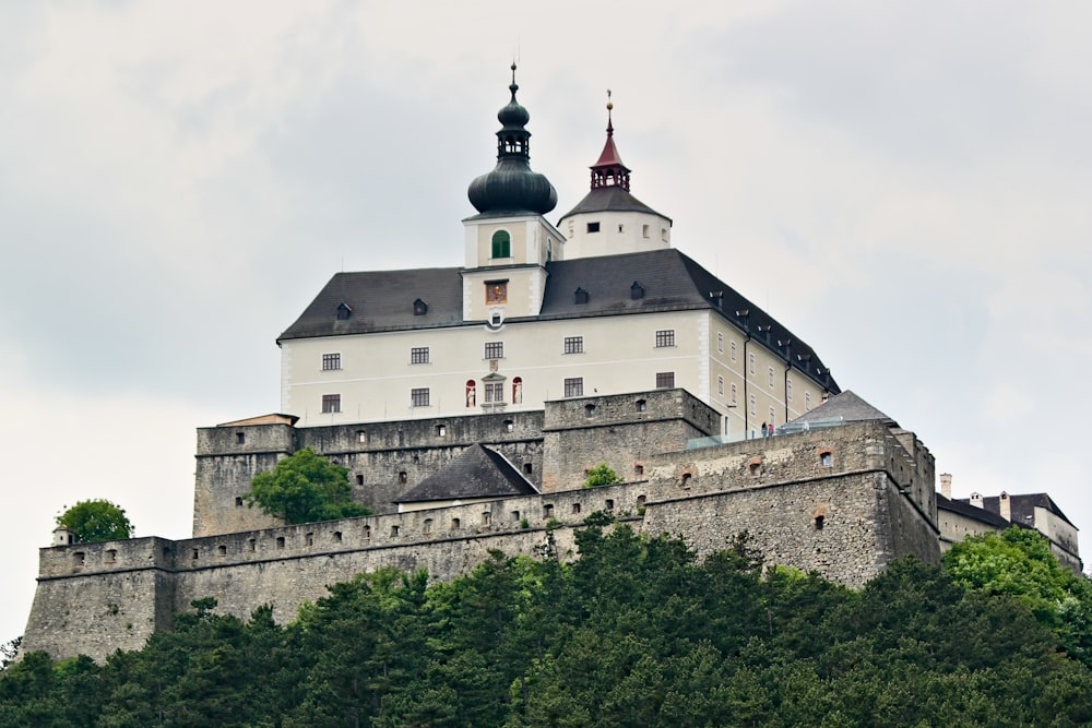 a castle on top of a hill surrounded by trees