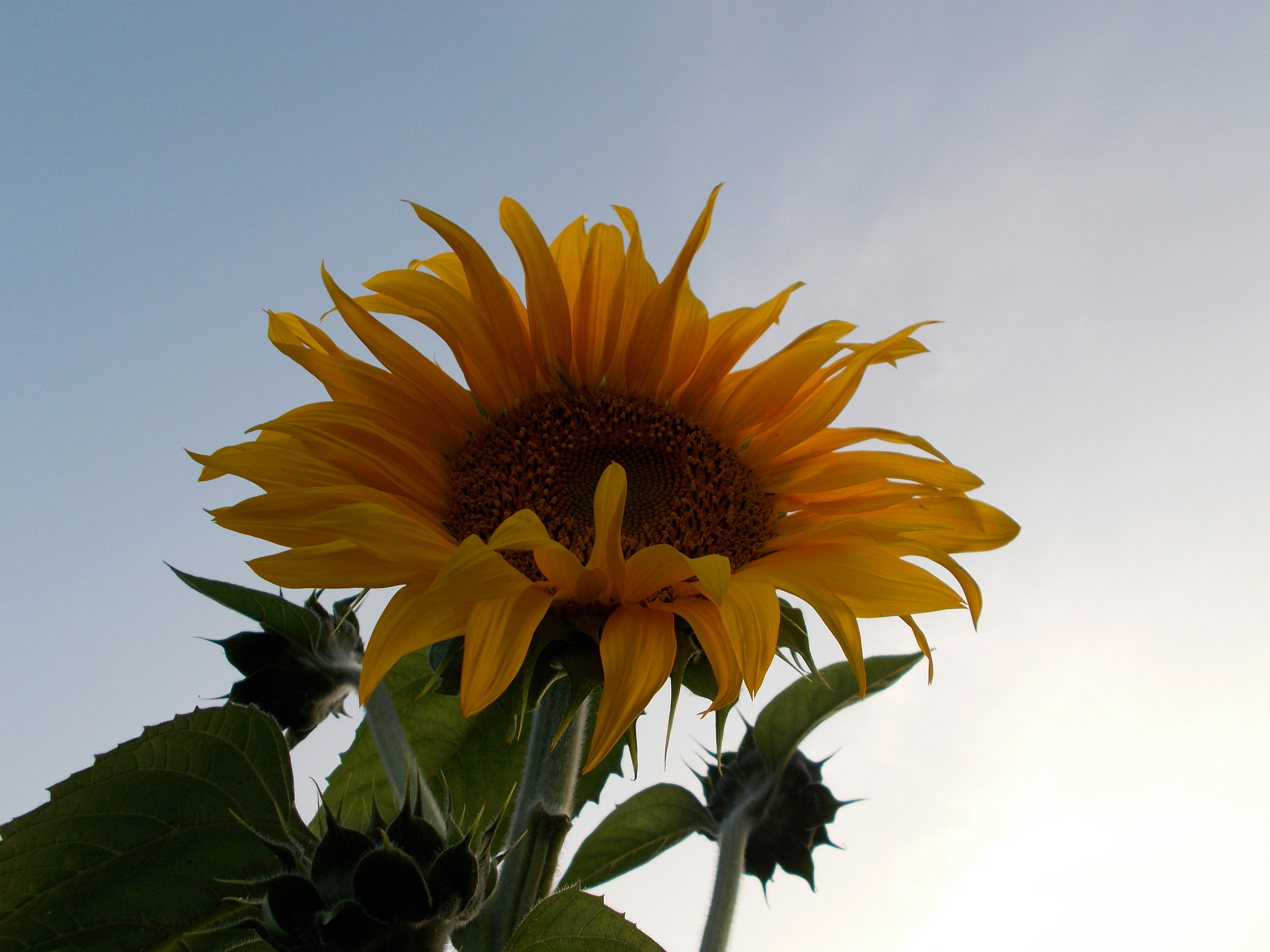 Photo by helen_zahrai