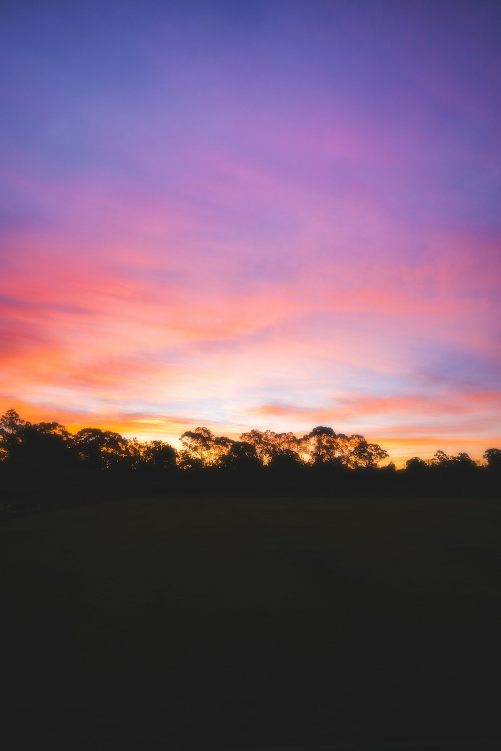 a colorful sunset with trees in the background