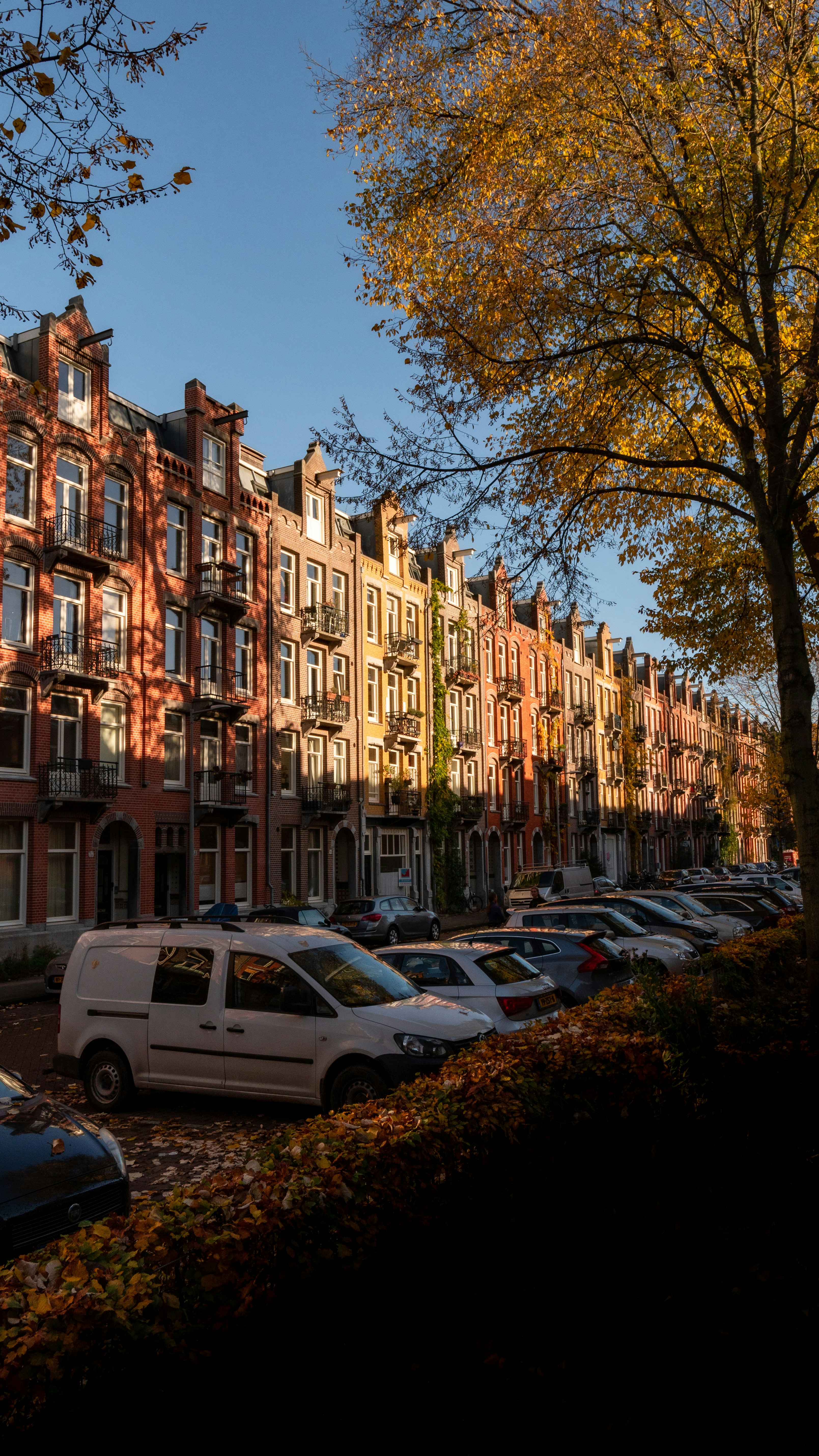 Photo by joeldevriend