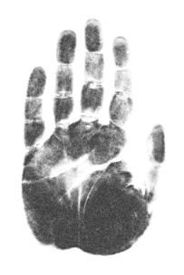 A monochrome handprint with distinct fingerprint patterns visible on each finger. The print appears to be made with black ink on a white background, showing clear details of the palm and finger lines.