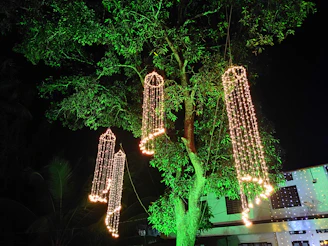 A night view of building lighting and tree lighting creating a magical ambiance for an outdoor event