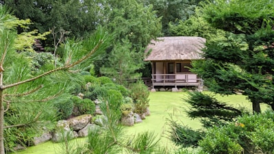 A serene Japanese-style garden with a traditional wooden hut featuring a thatched roof. The garden is lush with various green plants and trees, arranged around rocks. A still pond with green water completes the tranquil setting.