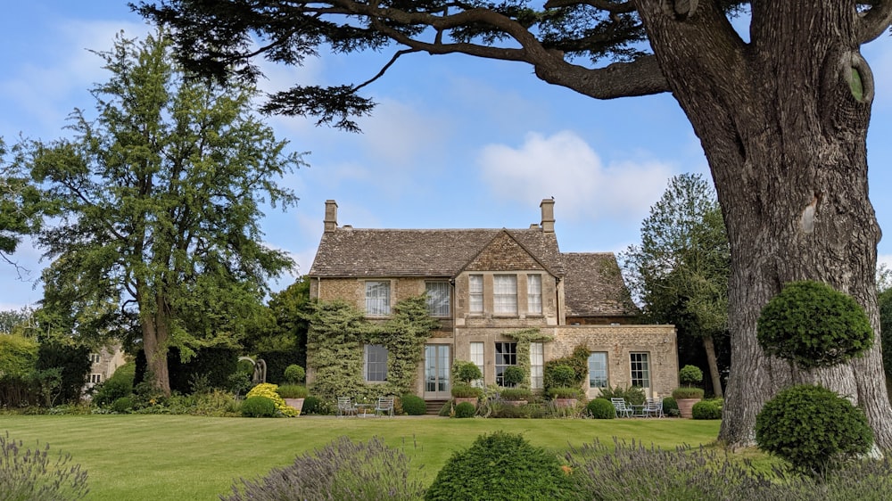 a house with a large tree in front of it