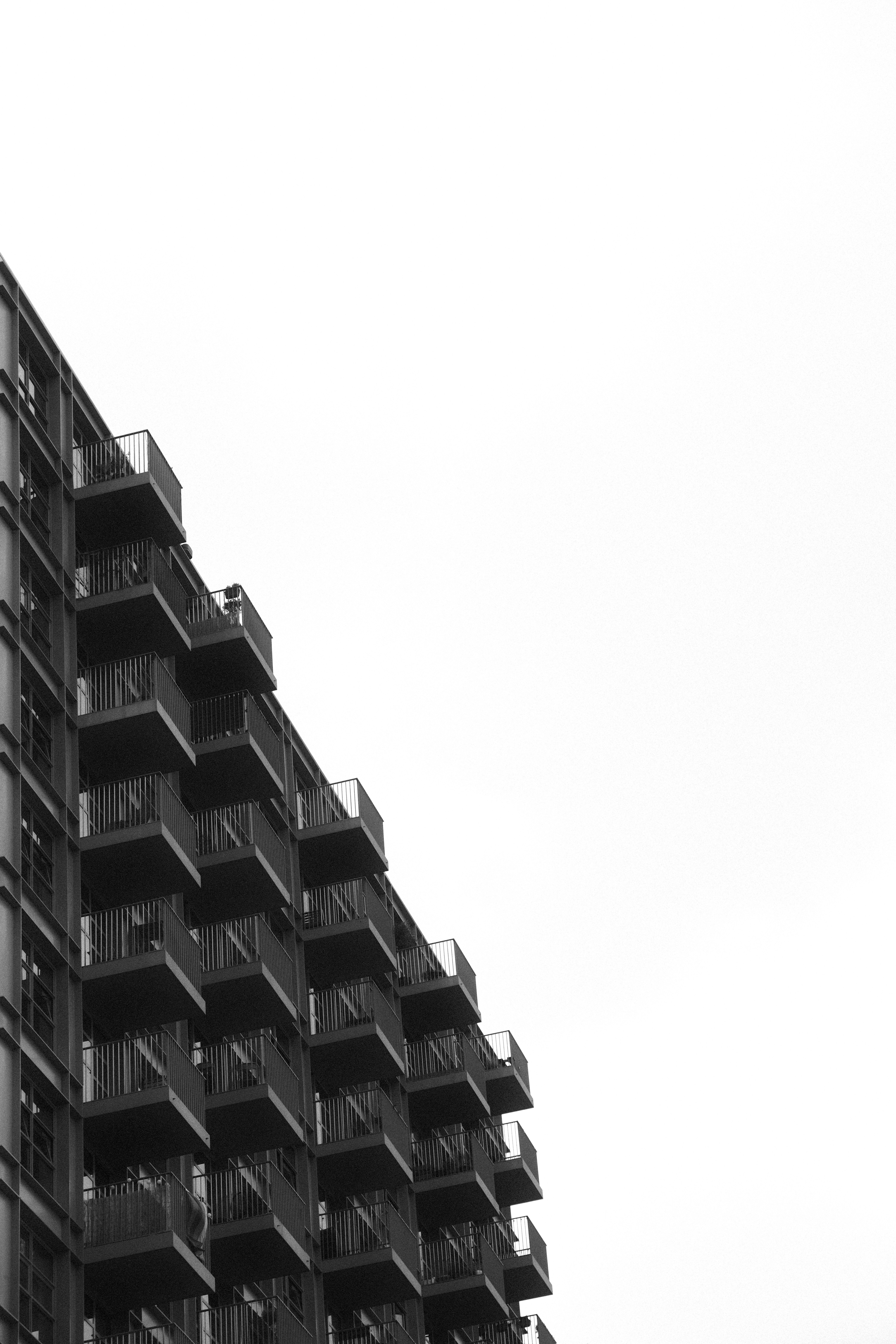 Photo by marcel_kovacic