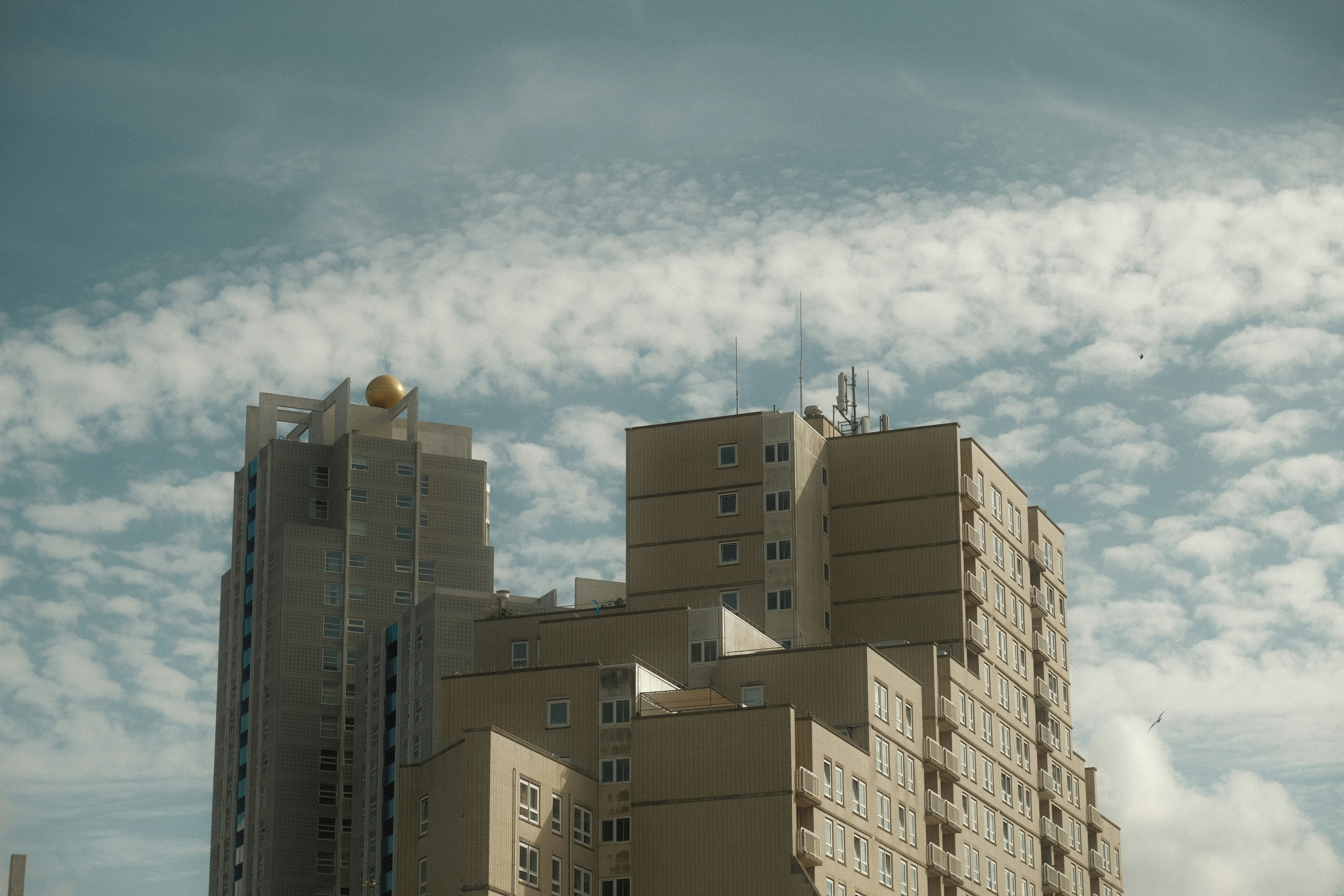 Afbeelding van 's-Gravenhage