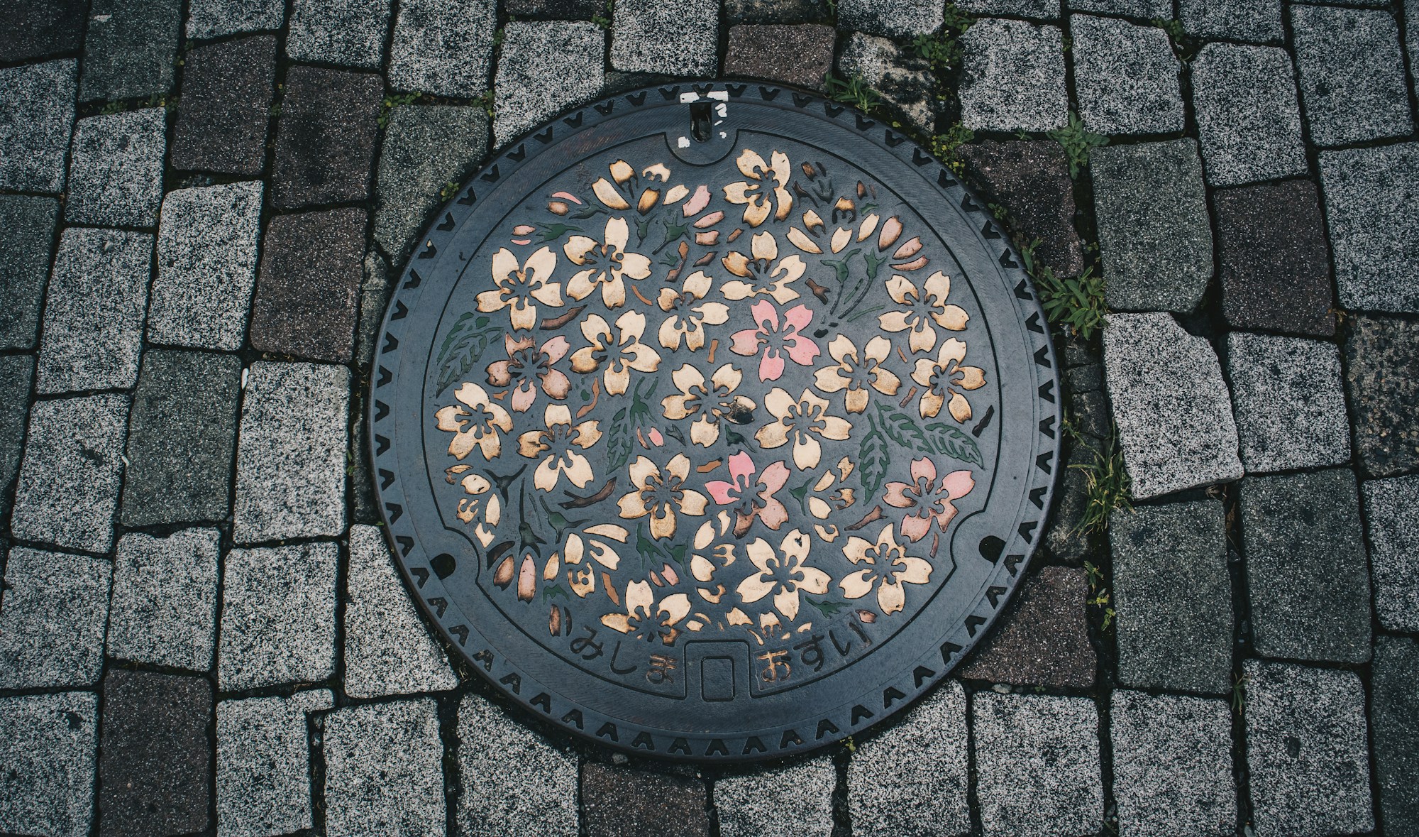 Best Weather and Seasons to Visit Mishima: A Practical Guide