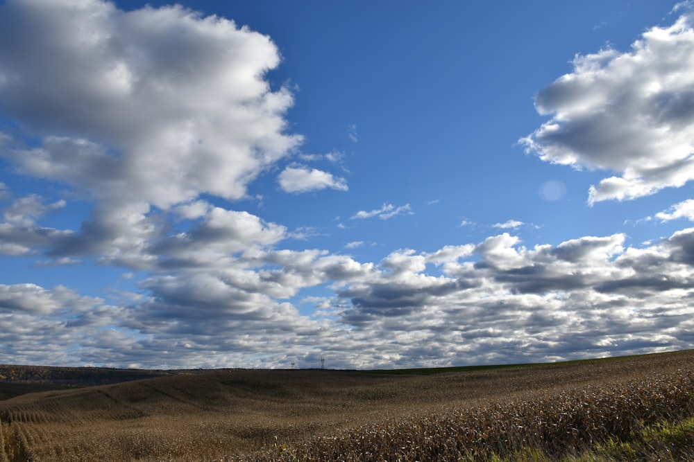 a large field of grass under a cloudy blue sky