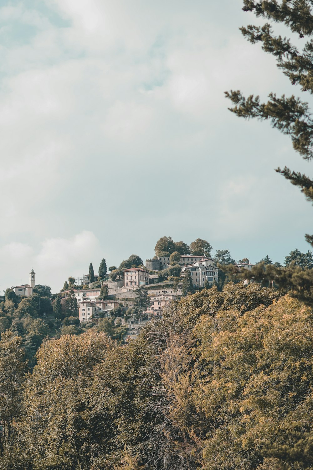 a small village on a hill surrounded by trees