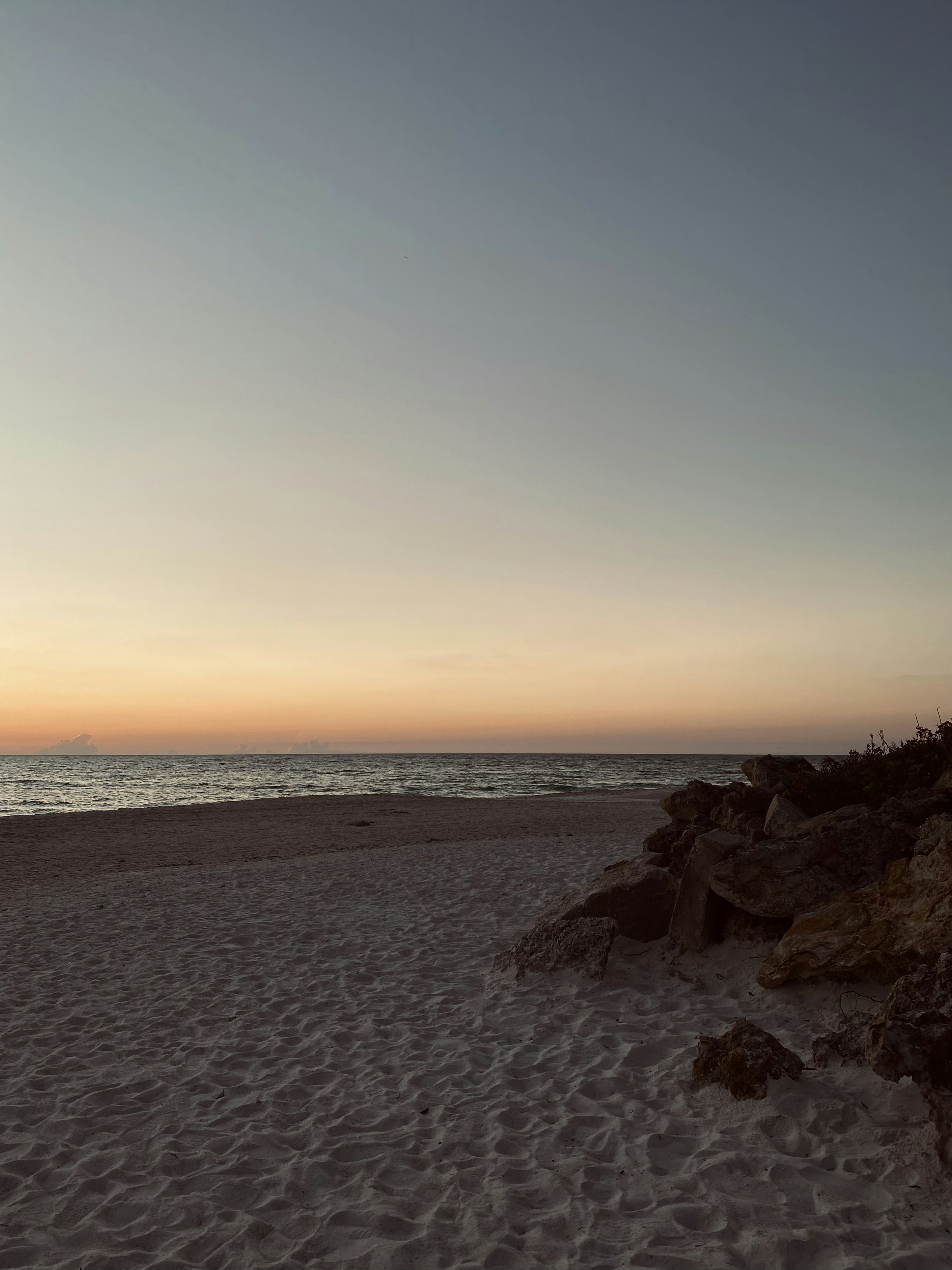 Photo by taylor_friehl