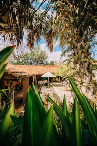 a house surrounded by palm trees and greenery