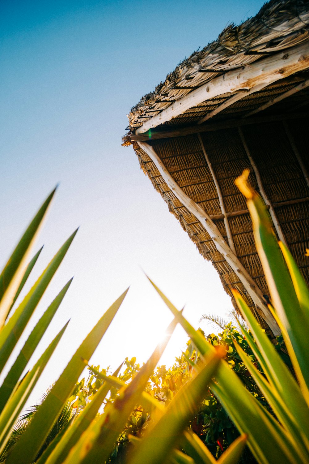 une maison avec un toit de chaume et de l’herbe devant elle