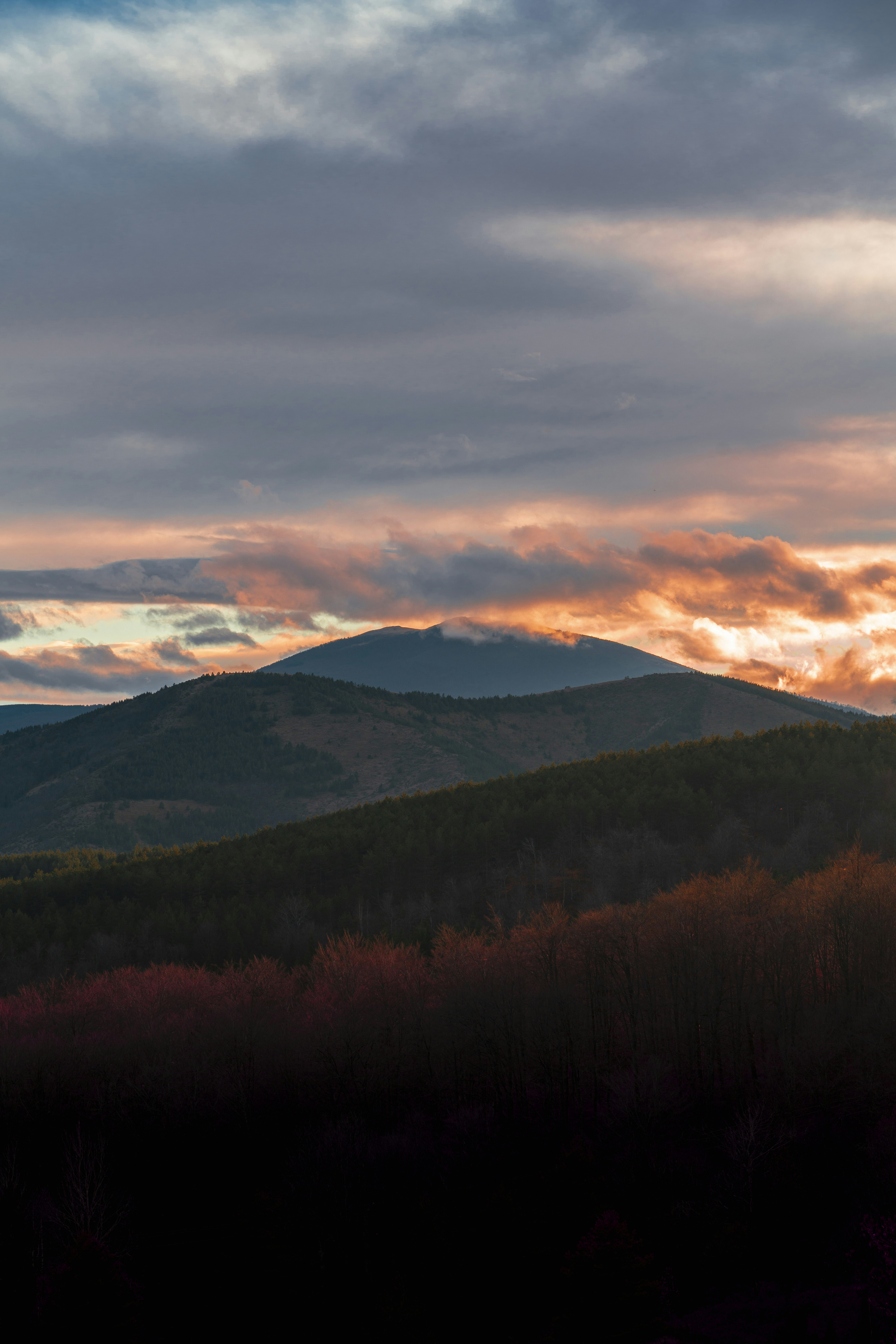 Photo by djordjevukojicic