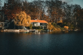 a house on a lake surrounded by trees