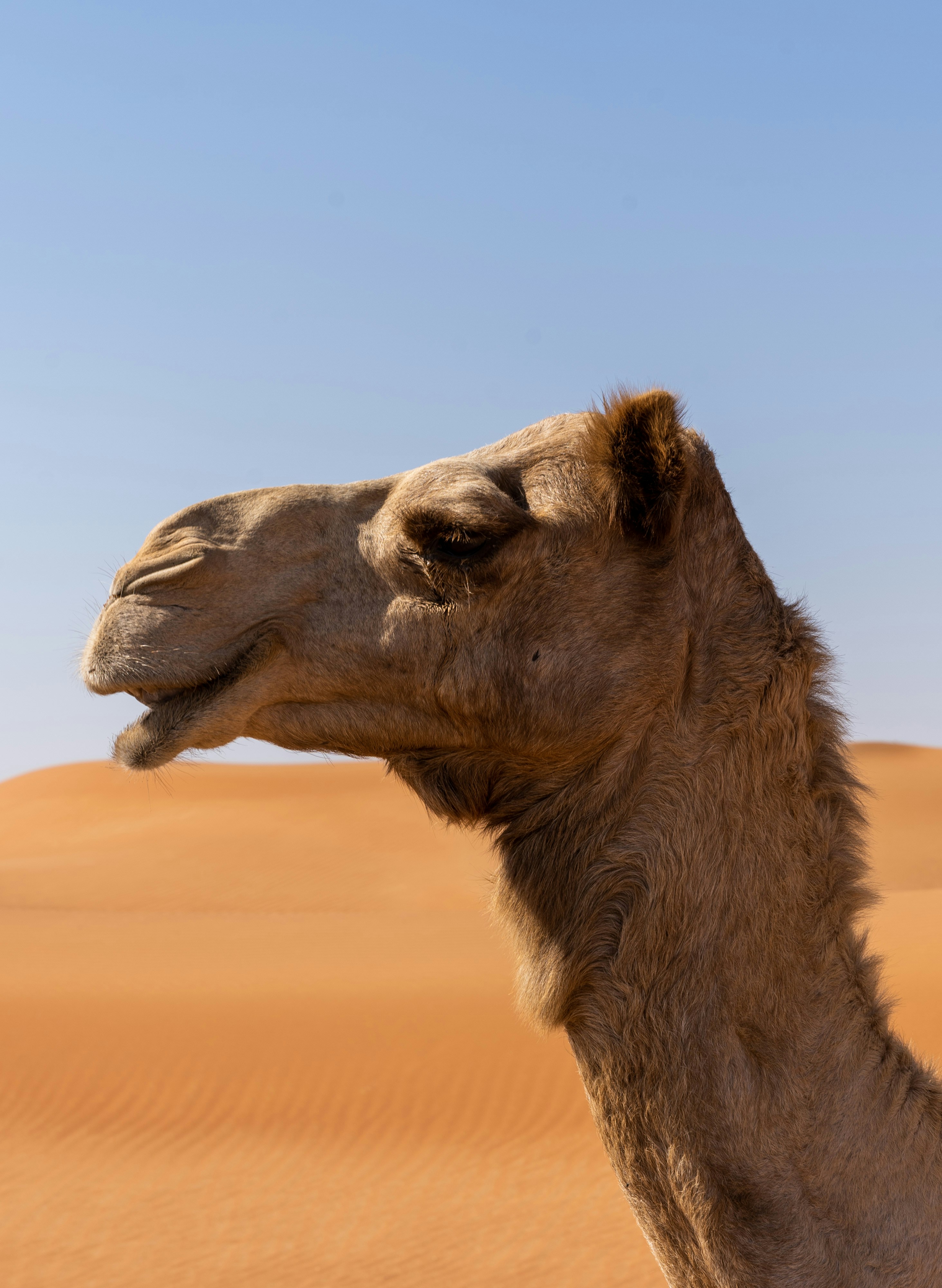 Photo by guillaume28017