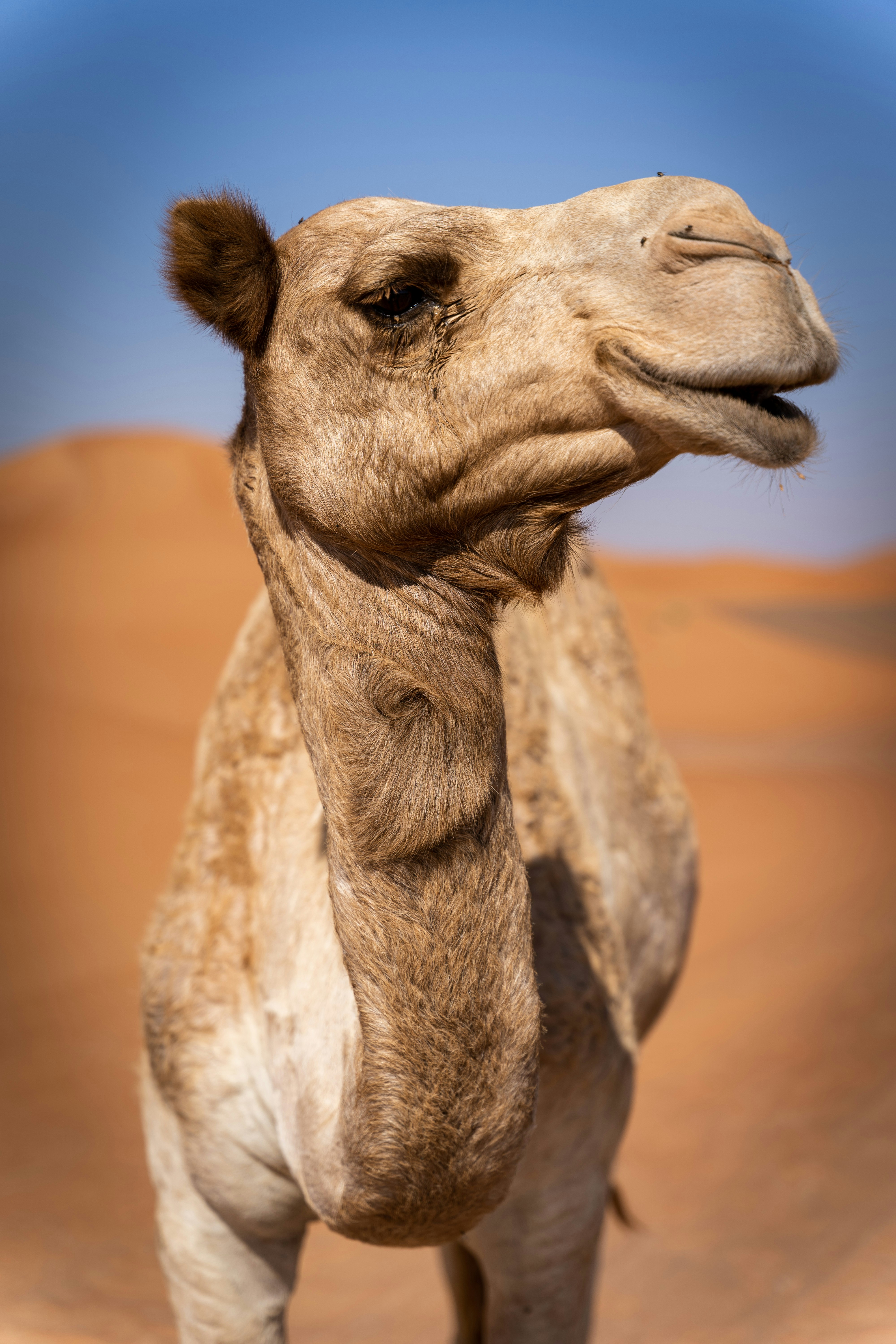 Photo by guillaume28017