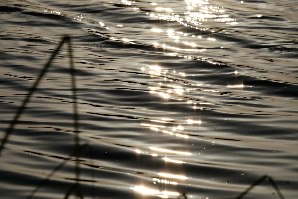 the sun shines brightly on the water