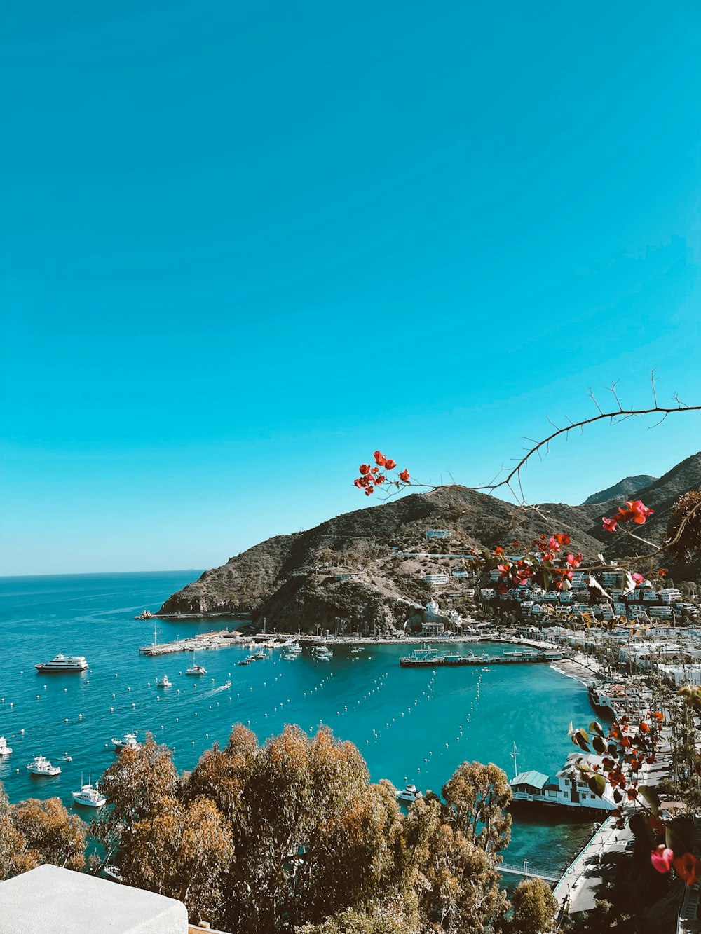 a view of a bay with boats in the water