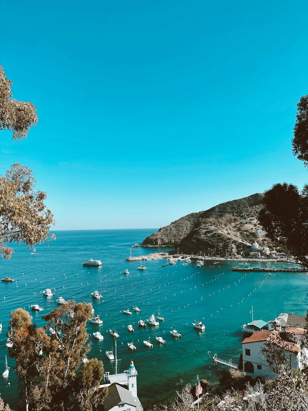 um grupo de barcos flutuando em cima de um corpo de água