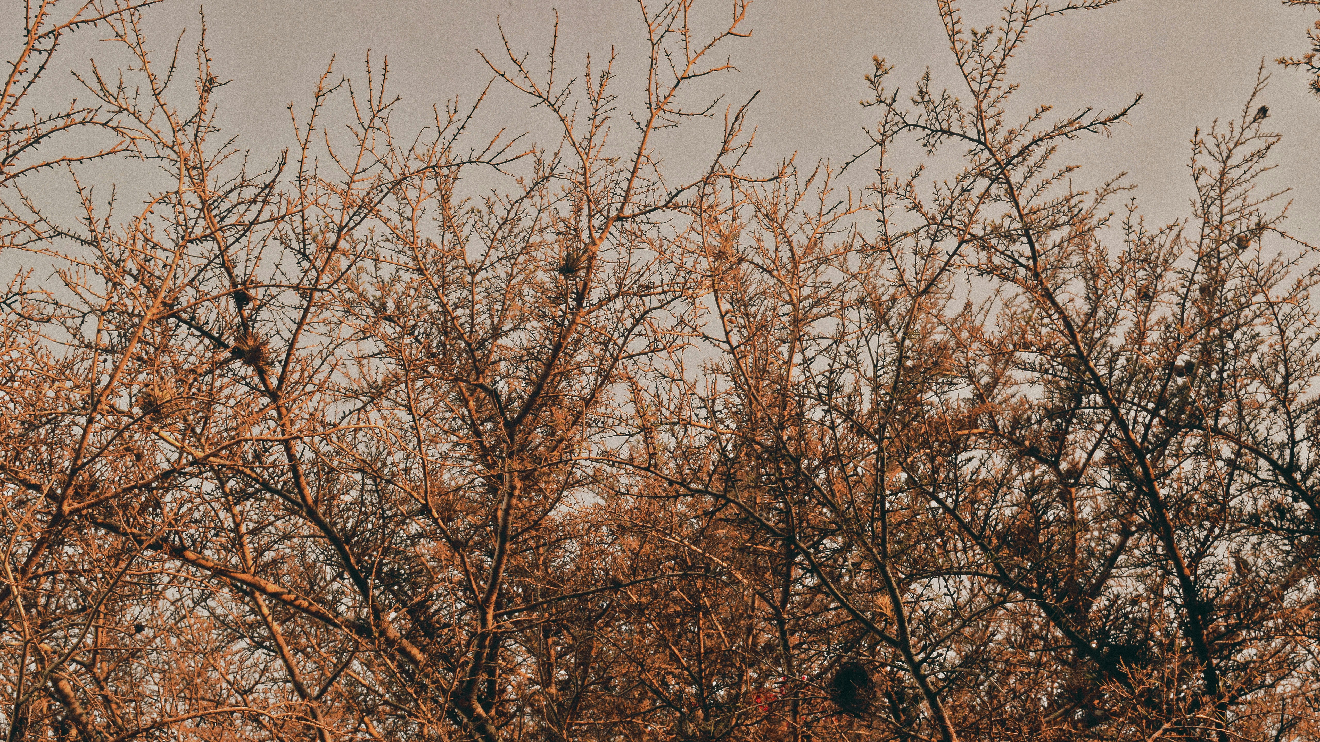 Photo by artistadementira