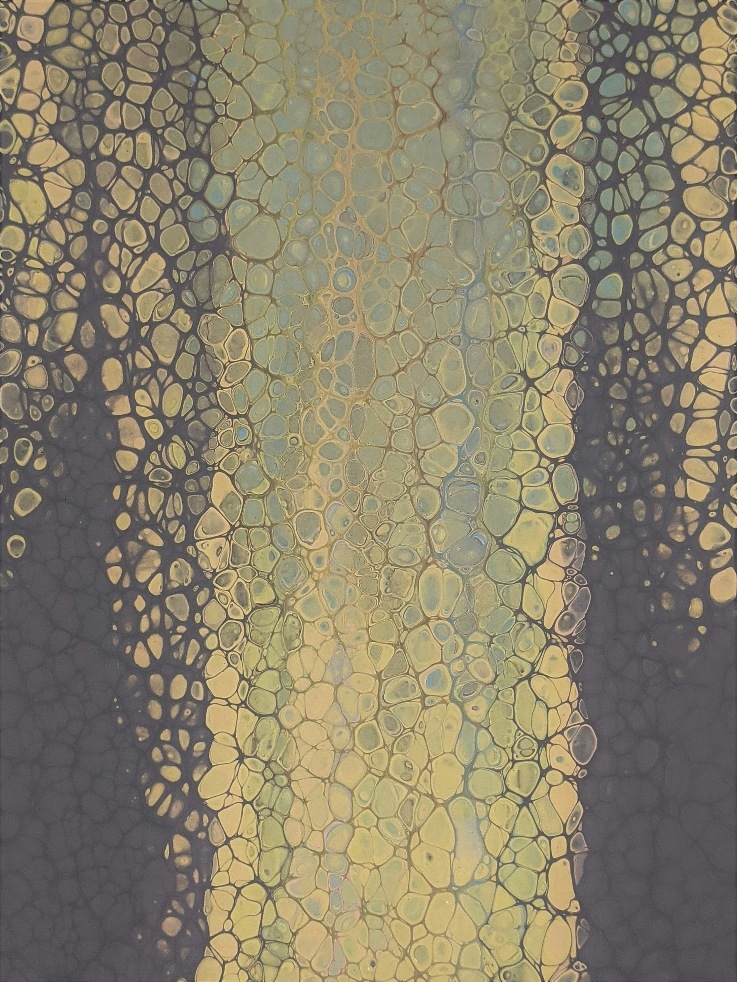 Photo by susan_wilkinson