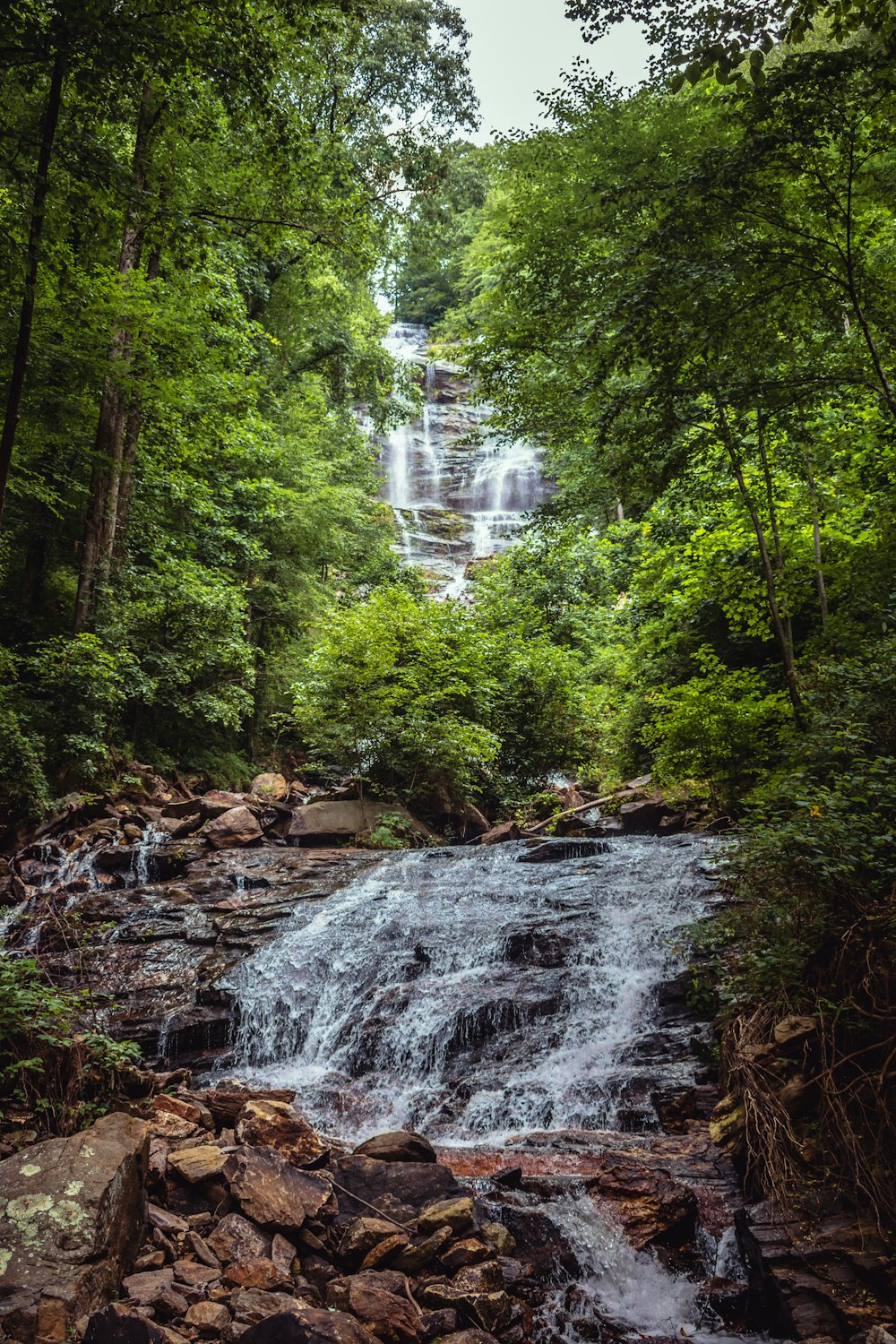 a waterfall in the middle of a forest