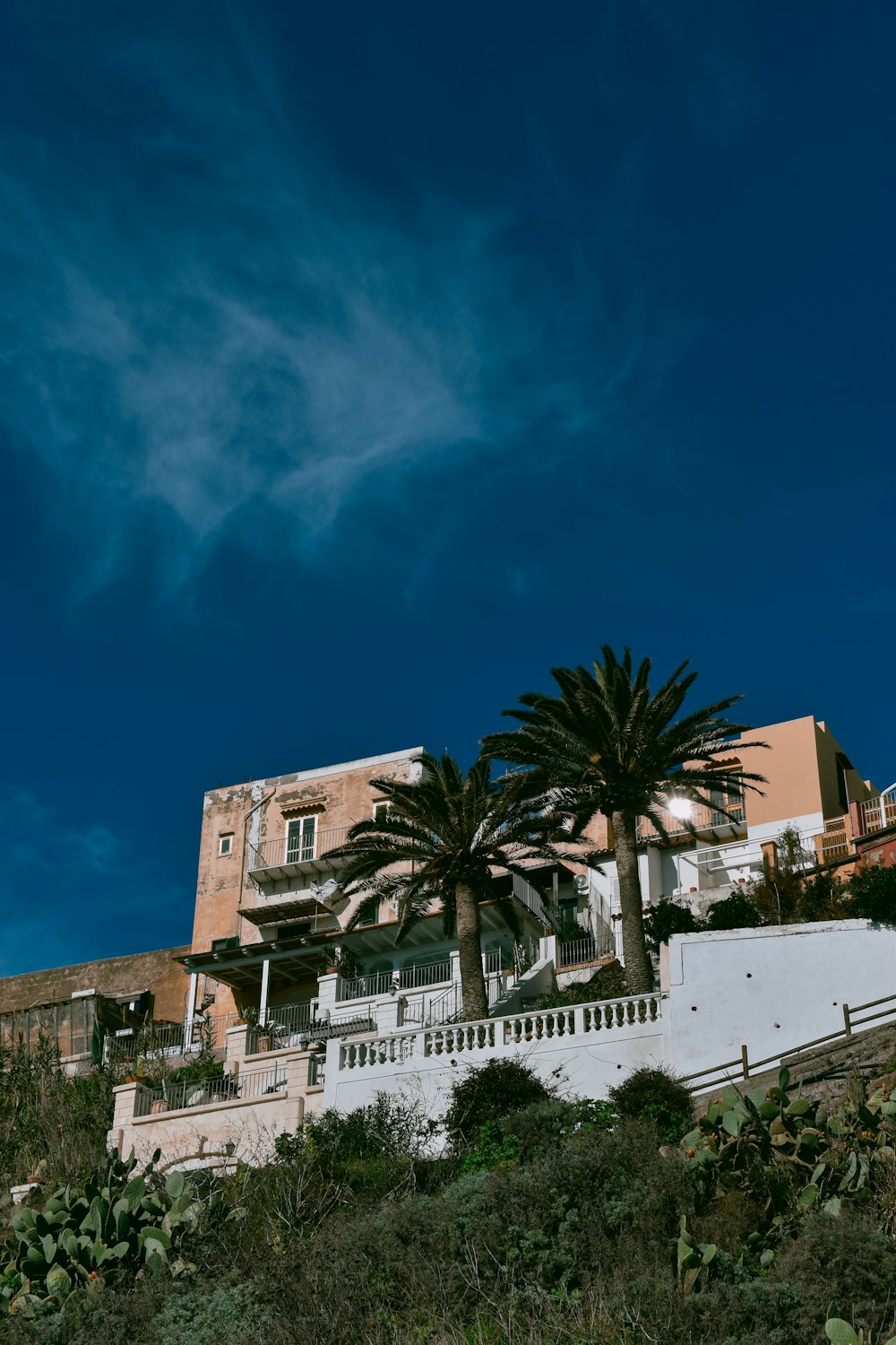 a building with a palm tree in front of it