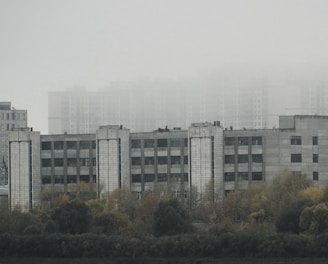 a foggy day in a city with tall buildings